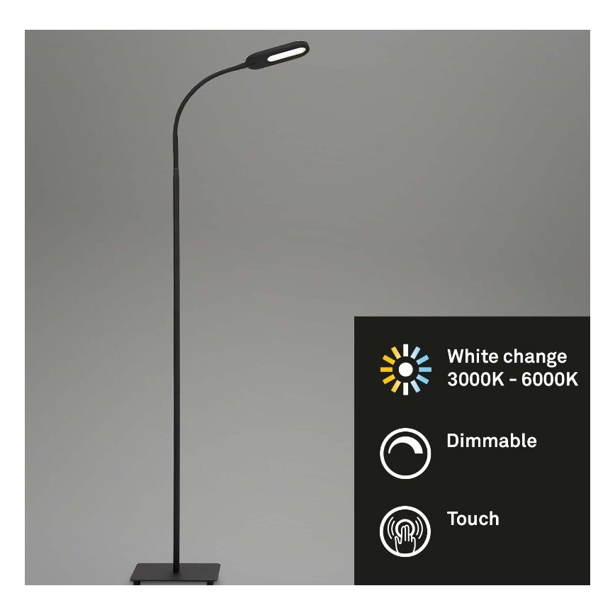Briloner 1297-015 - LED Prigušiva fleksibilna podna lampa LED/6,6W/230V 3000K/4000K/6000K