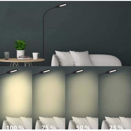 Briloner 1297-015 - LED Prigušiva fleksibilna podna lampa LED/6,6W/230V 3000K/4000K/6000K