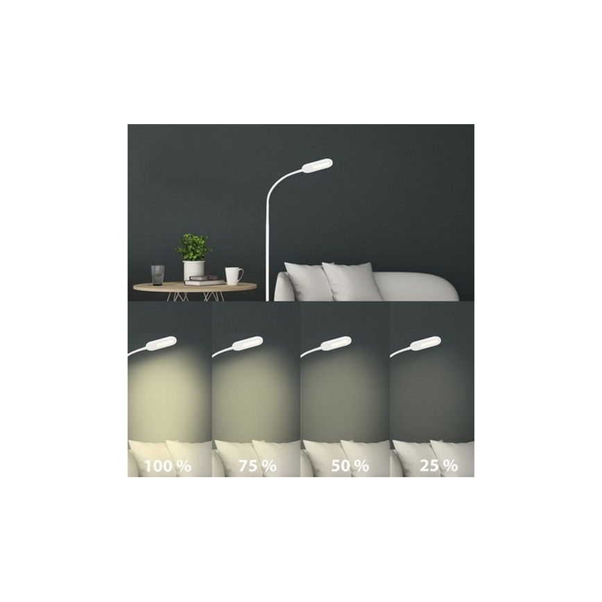 Briloner 1297-016 - LED Prigušiva dodirna podna lampa LED/8W/230V 3000/4000/6000K