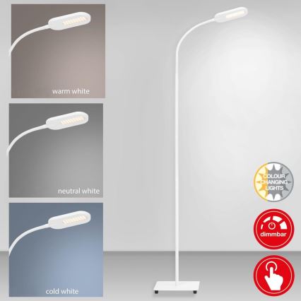 Briloner 1297-016 - LED Prigušiva dodirna podna lampa LED/8W/230V 3000/4000/6000K