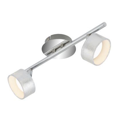 Briloner 2038-024 - LED Reflektorska svjetiljka PRO 2xLED/5W/230V