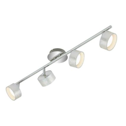 Briloner 2038-044 - LED Reflektorska svjetiljka PRO 4xLED/5W/230V