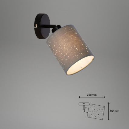 Briloner 2078-014 - Zidna reflektorska svjetiljka SPOTLIGHT 1xE27/25W/230V siva/crna