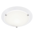 Briloner 2118-016 - Stropna svjetiljka za kupaonicu SPLASH 1xE27/60W/230V IP23