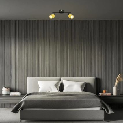 Briloner 2145-027 - Spot svjetiljka 2xGU10/9W/230V