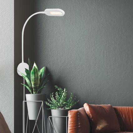 Briloner 2177016 - LED prigušivačka fleksibilna zidna lampa LED/6W/230V bijela