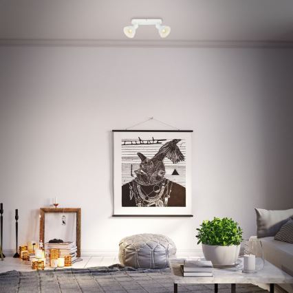 Briloner 2674-026 - Reflektorska svjetiljka RETRO 2xE14/25W/230V bijela