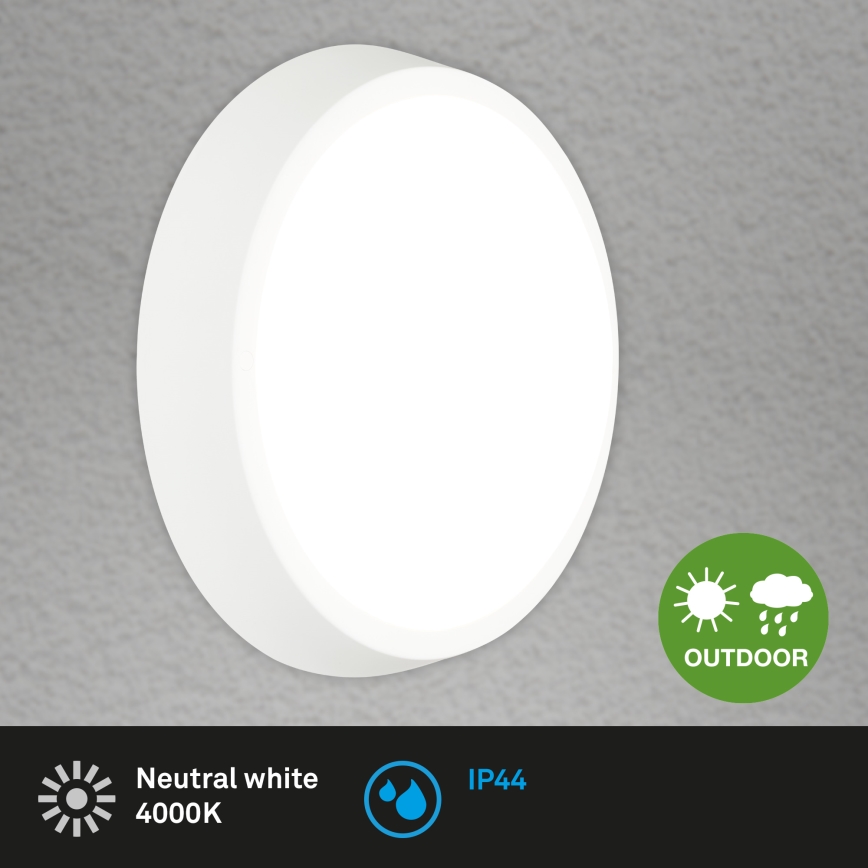 Briloner 3018-016 - LED Vanjska stropna svjetiljka HAGEN LED/24W/230V 4000K IP44 bijela