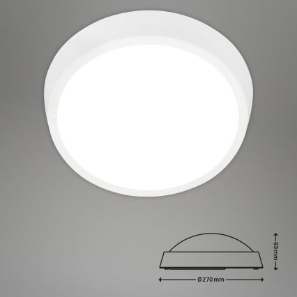 Briloner 3018-016 - LED Vanjska stropna svjetiljka HAGEN LED/24W/230V 4000K IP44 bijela