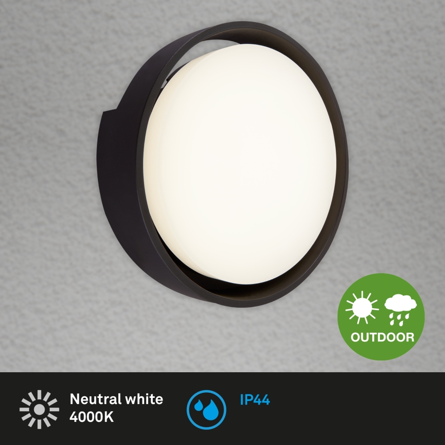 Briloner 3019-015 - LED Vanjska zidna svjetiljka GENUA LED/18W/230V IP44 crna