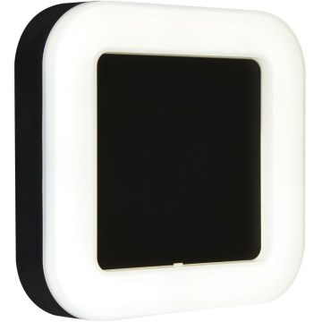 Briloner 3034-015 - LED vanjsko zidno svjetlo LED/15W/230V 4000K