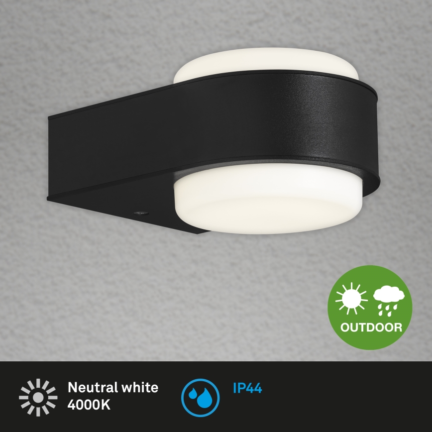 Briloner 3035-015 - LED Vanjska zidna svjetiljka HANAU LED/6,5W/230V IP44 crna