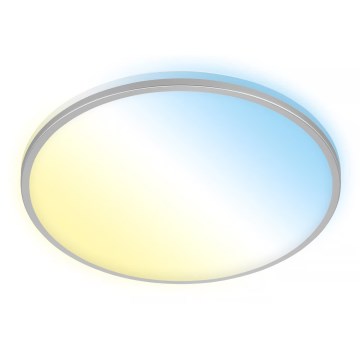 Briloner 3064-014 - LED prigušivo stropno svjetlo IVY, 24 W/230 V, Wi‑Fi Tuya, promjer 33,3 cm + daljinski upravljač