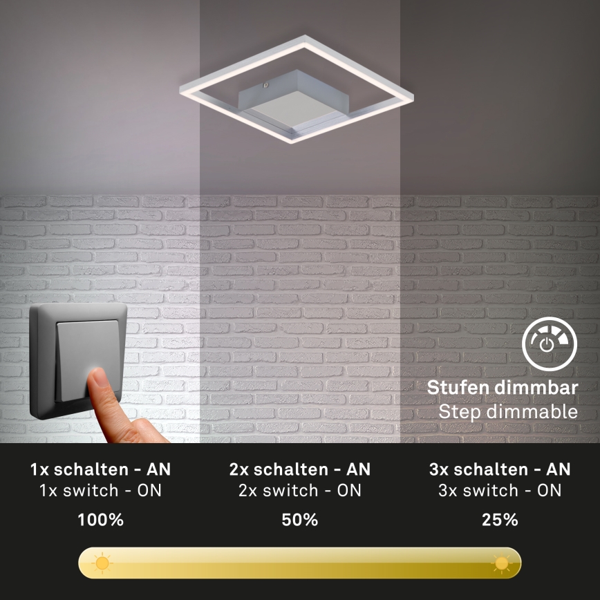 Briloner 3105-018 - LED Prigušiva stropna svjetiljka FRAMES LED/9,7W/230V