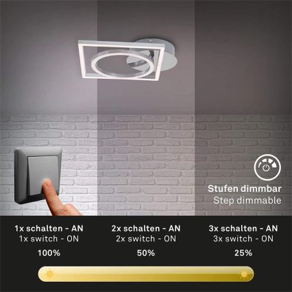 Briloner 3114-018 - LED Prigušiva stropna svjetiljka FRAME LED/19,6W/230V 3000K