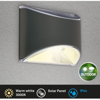 Briloner 3133015 - LED Solarna zidna svjetiljka LED/2W/3,7V IP44 3000K
