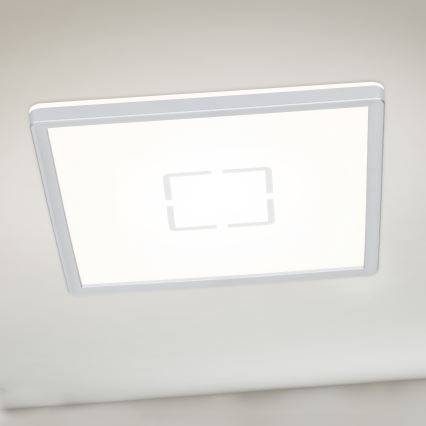 Briloner 3174-014 - LED Stropna svjetiljka FREE LED/12W/230V 19x19 cm