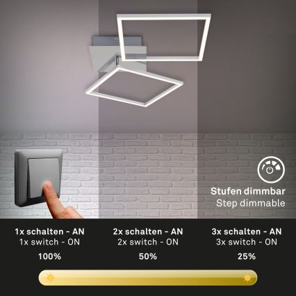 Briloner 3182-018 - LED Prigušiva stropna svjetiljka FRAME 2xLED/15,5W/230V