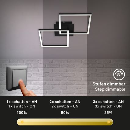 Briloner 3210-015 - LED Prigušiva stropna svjetiljka FRAME 2xLED/11W/230V crna