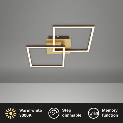 Briloner 3210-017 - LED stropna svjetiljka s prigušivanjem FRAME 2xLED/11W/230V zlatna