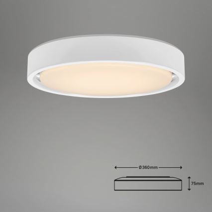 Briloner 3227-016 - LED RGB dimabilno svjetlo sa senzorom TALENA LED/24W/230V bijela + daljinski upravljač