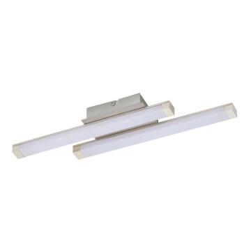 Briloner 3246-022 - LED Stropna svjetiljka ESILE 2xLED/5W/230V