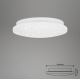 Briloner 3388-016 - LED Stropna svjetiljka VIPE LED/8W/230V