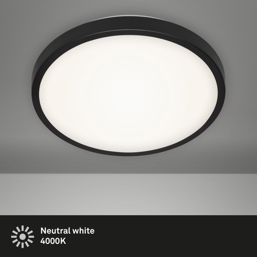 Briloner 3455-015 - LED Stropna svjetiljka MANNY LED/12W/230V