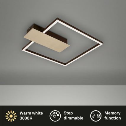 Briloner 3544-017 - LED Prigušiva stropna svjetiljka NICO LED/12W/230V zlatna