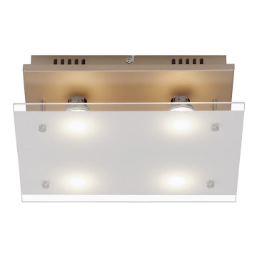 Briloner 3586-047 - LED Stropna svjetiljka SMART GOLD 4xGU10/4W/230V