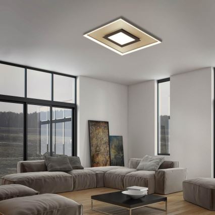 Briloner 3641-017 - LED Prigušiva stropna svjetiljka FRAME LED/30W/230V 2700-6500K zlatna + daljinski upravljač