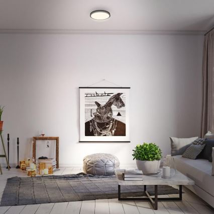 Briloner 3700-015 - LED Stropna svjetiljka RUNA LED/16W/230V 3000K pr. 28 cm crna