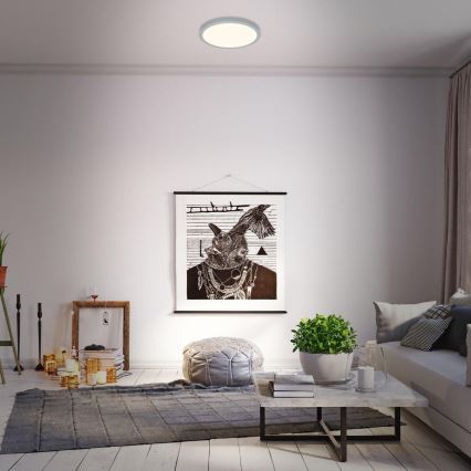 Briloner 3703-014 - LED Stropna svjetiljka RUNA LED/24W/230V 3000K pr. 38 cm srebrna