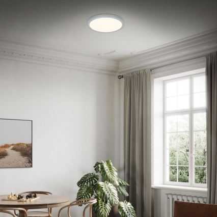 Briloner 3703-014 - LED Stropna svjetiljka RUNA LED/24W/230V 3000K pr. 38 cm srebrna