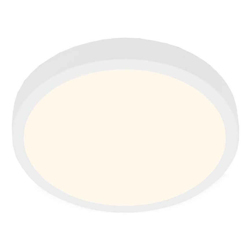 Briloner 3703-016 - LED Stropna svjetiljka RUNA LED/24W/230V 3000K pr. 38 cm bijela