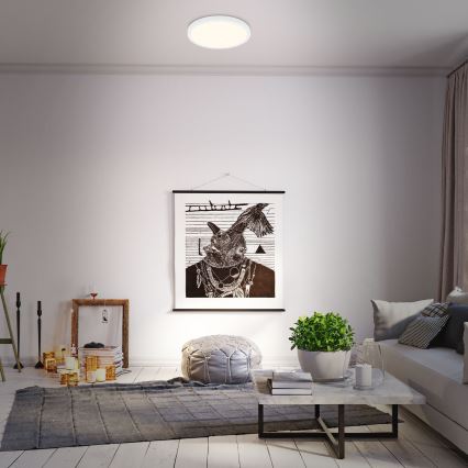 Briloner 3704-016 - LED Prigušiva stropna svjetiljka RUNA LED/22W/230V 2700-6500K bijela + daljinski upravljač
