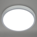 Briloner 3709-014 - LED RGBW stropna svjetiljka s prigušivanjem LED/22W/230V 4000K promjer 38 cm srebrna + daljinski upravljač