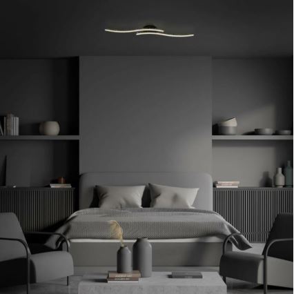 Briloner 3718-025 - LED Nadgradni luster REY 2xLED/6W/230V crna