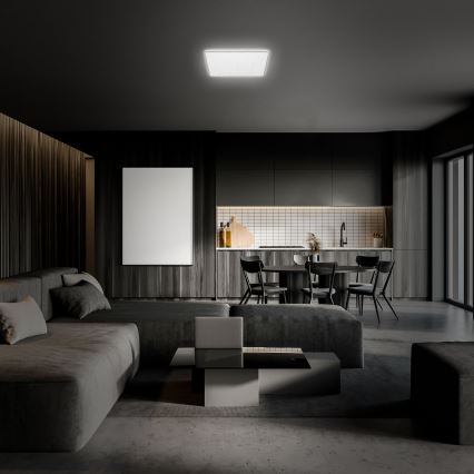 Briloner 3749-414 - LED stropna svjetiljka LINO LED/24W/230V mat krom