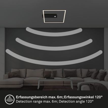 Briloner 3770-015 - LED stropno svjetlo FRAME s senzorom pokreta i sumraka, LED/14W/230V, 3000K, 30x32 cm, crno