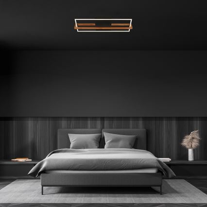 Briloner 3777-015 - LED stropna svjetiljka FRAME LED/21W/230V 3000K crna