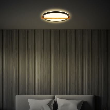 Briloner 3844015 - LED stropna svjetiljka LED/18W/230V promjer 31,5 cm