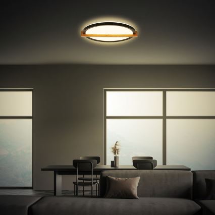 Briloner 3844015 - LED stropna svjetiljka LED/18W/230V promjer 31,5 cm