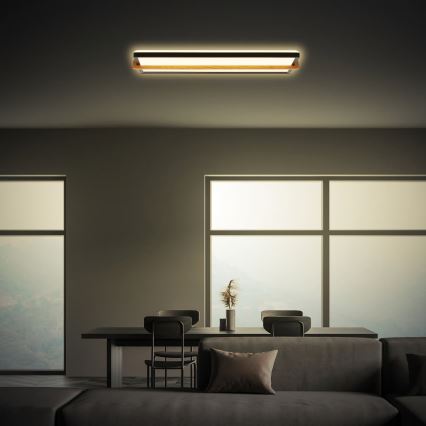 Briloner 3846015 - LED stropna svjetiljka REMSA LED/22W/230V 3000K 60,5x20 cm crna