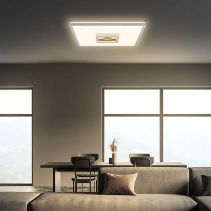 Briloner 3848014 - LED Stropna svjetiljka TORO LED/18W/230V 42x42 cm matni krom