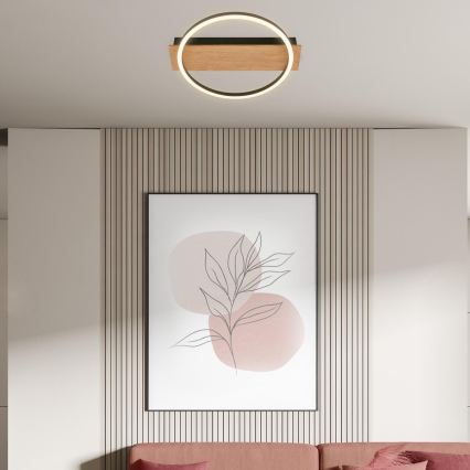 Briloner 3908-014 - LED stropna svjetiljka KADA LED/14W/230V Ø 30 cm crna/smeđa