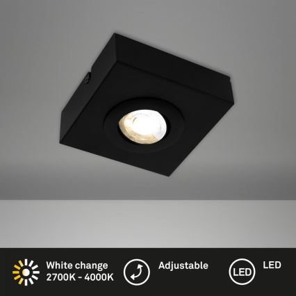 Briloner 3996015 - LED Reflektorska svjetiljka CTS LED/4W/230V 2700/4000K crna