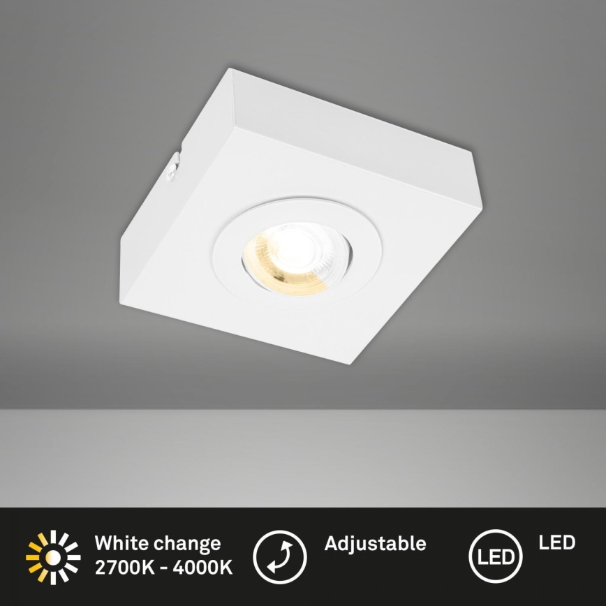 Briloner 3996016 - LED Reflektorska svjetiljka CTS LED/4W/230V 2700/4000K bijela