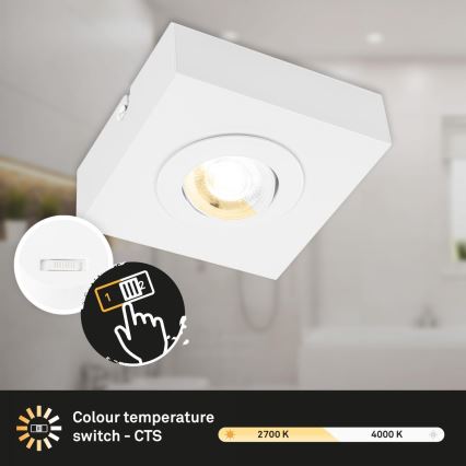 Briloner 3996016 - LED Reflektorska svjetiljka CTS LED/4W/230V 2700/4000K bijela