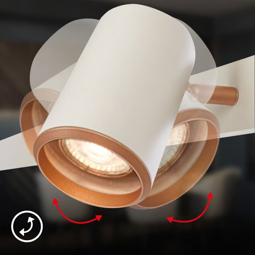 Briloner 4058044 - Luster na sajli ERA 4xGU10/10W/230V krem